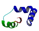 Chromosome 17 Open Reading Frame 98 (C17orf98)