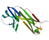 Chromosome 17 Open Reading Frame 99 (C17orf99)