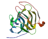 Family With Sequence Similarity 210, Member A (FAM210A)