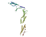 Coiled Coil Domain Containing Protein 178 (CCDC178)