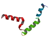 Chromosome 18 Open Reading Frame 42 (C18orf42)