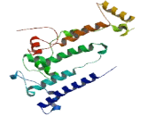 Transmembrane Protein 241 (TMEM241)