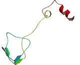 TYMS Opposite Strand Protein (TYMSOS)