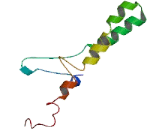 Small Integral Membrane Protein 21 (SMIM21)