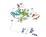 Chromosome 18 Open Reading Frame 8 (C18orf8)