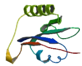 Chromosome 19 Open Reading Frame 12 (C19orf12)