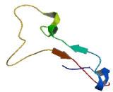 Chromosome 19 Open Reading Frame 24 (C19orf24)