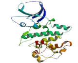 Chromosome 19 Open Reading Frame 35 (C19orf35)