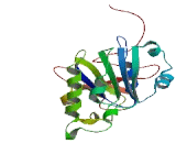 SWS1 Associated Protein 1 (SWSAP1)