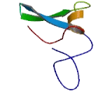 Small Integral Membrane Protein 7 (SMIM7)