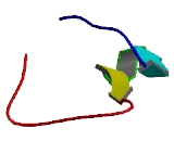 Chromosome 19 Open Reading Frame 49 (C19orf49)