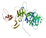 Dynein Assembly Factor 3, Axonemal (DNAAF3)