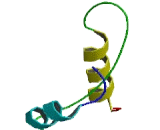 Chromosome 19 Open Reading Frame 52 (C19orf52)