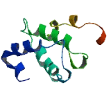 WDR83 Opposite Strand Protein (WDR83OS)