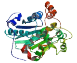 Chromosome 19 Open Reading Frame 57 (C19orf57)