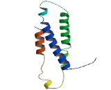 Chromosome 19 Open Reading Frame 60 (C19orf60)