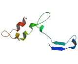 BRISC And BRCA1-A Complex Member 1 (BABAM1)