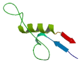 Chromosome 19 Open Reading Frame 67 (C19orf67)