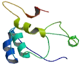 Chromosome 19 Open Reading Frame 68 (C19orf68)