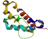 Glutamate Rich Protein 4 (ERICH4)