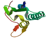 Chromosome 19 Open Reading Frame 70 (C19orf70)