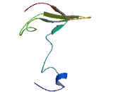 Chromosome 19 Open Reading Frame 73 (C19orf73)