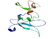 Small Integral Membrane Protein 24 (SMIM24)