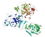 Chromosome 2 Open Reading Frame 16 (C2orf16)