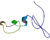 KLHL30 Antisense Gene Protein 1 (KLHL30-AS1)