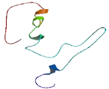 Chromosome 2 Open Reading Frame 27 (C2orf27)