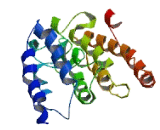 CCR4 NOT Transcription Complex Subunit 11 (CNOT11)