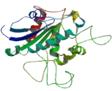 Chromosome 2 Open Reading Frame 43 (C2orf43)