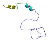 Chromosome 2 Open Reading Frame 50 (C2orf50)