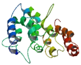 Chromosome 2 Open Reading Frame 57 (C2orf57)