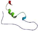 Chromosome 2 Open Reading Frame 61 (C2orf61)