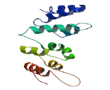 Clathrin Heavy Chain Linker Domain Containing Protein (CLHC1)