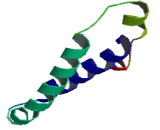 Meiosis 1 Arrest Protein (M1AP)