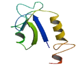 Chromosome 2 Open Reading Frame 66 (C2orf66)