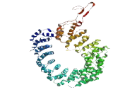 KAT8 Regulatory NSL Complex Subunit 1 Like Protein (KANSL1L)