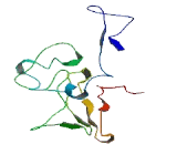 Chromosome 2 Open Reading Frame 68 (C2orf68)