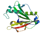 Chromosome 2 Open Reading Frame 69 (C2orf69)