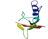 Chromosome 2 Open Reading Frame 70 (C2orf70)