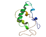 Chromosome 2 Open Reading Frame 71 (C2orf71)