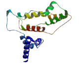 Chromosome 2 Open Reading Frame 72 (C2orf72)