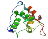 Chromosome 2 Open Reading Frame 74 (C2orf74)