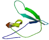 Chromosome 2 Open Reading Frame 76 (C2orf76)