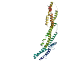 Coiled Coil Domain Containing Protein 173 (CCDC173)