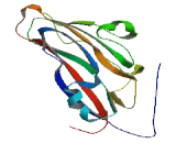 Chromosome 2 Open Reading Frame 78 (C2orf78)