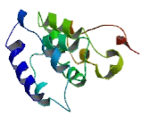 Chromosome 2 Open Reading Frame 83 (C2orf83)