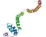 Family With Sequence Similarity 228, Member A (FAM228A)